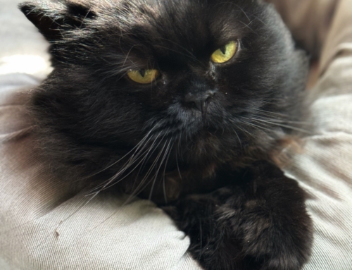 Gary