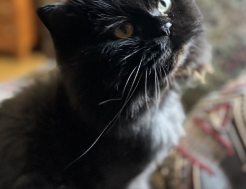 Gary